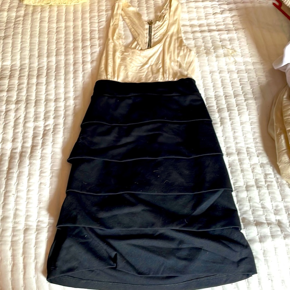Arden B dress